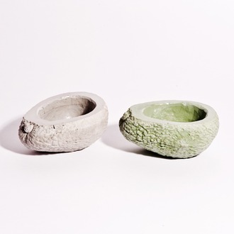 鳄梨多肉植物盆景花盆