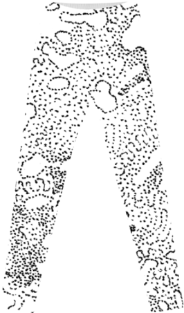 灰度长裤 - 眼/点-2