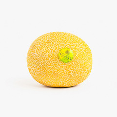 海南王品冰糖蜜瓜 1.1kg~1.4kg/个