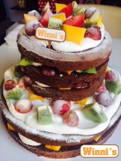 维尼蛋糕_双层裸蛋糕造型创意定制  口感超越吉米的厨房