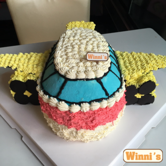 维尼蛋糕_魔力飞机造型创意定制蛋糕 口感超越吉米的厨房