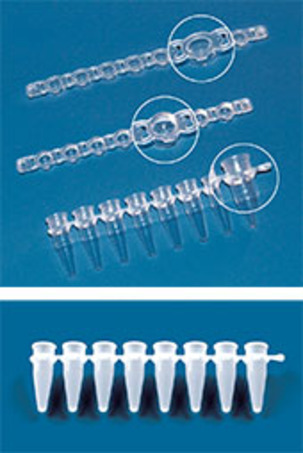 BRAND八联PCR管（连独立平盖 0.2ml 0.15ml/  连联盖 0.2ml  /无盖 0.2ml）/十二联PCR管-3