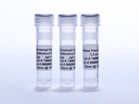 Agilent 600380 PfuUltra High-fidelity DNA Plymrase,100U