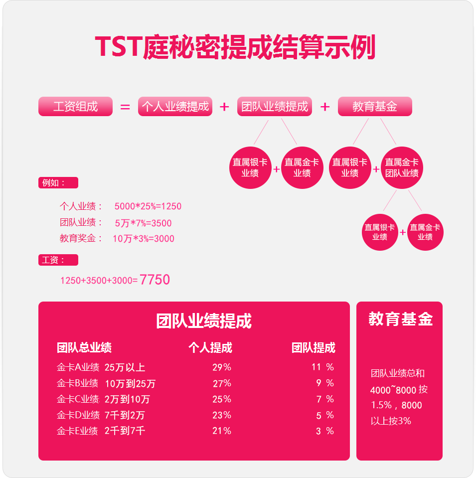 TST庭秘密 TST活酵母面膜 TST官网 TST加盟 TST代理