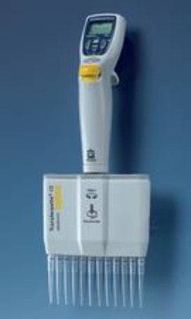 BRAND Transferpette® 12electronic十二通道电子微量移液器