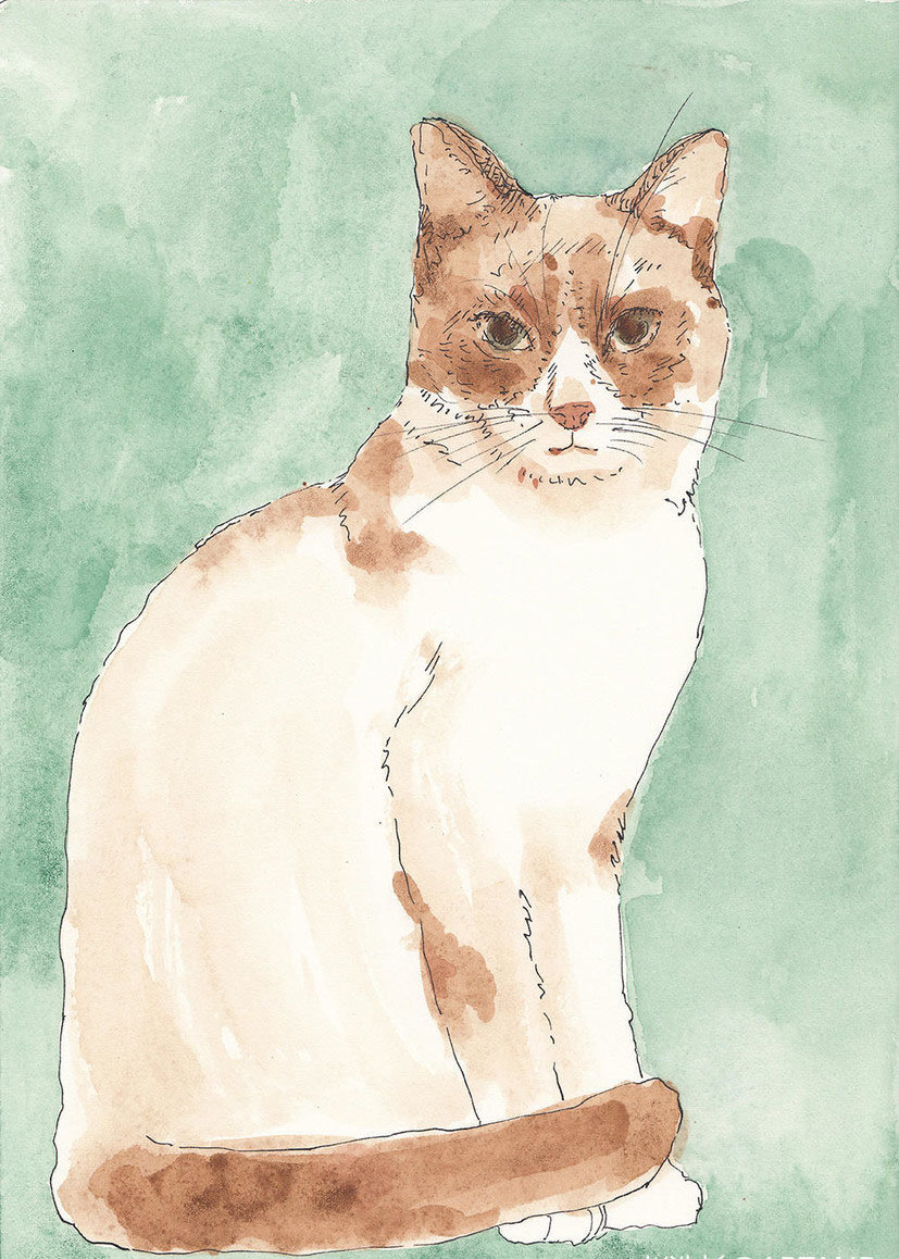 《猫》26×18