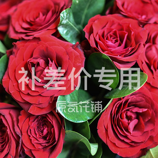 补差价专用