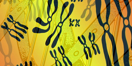 Maxwell® RSC DNA FFPE试剂盒
