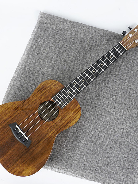 kanilea k1t