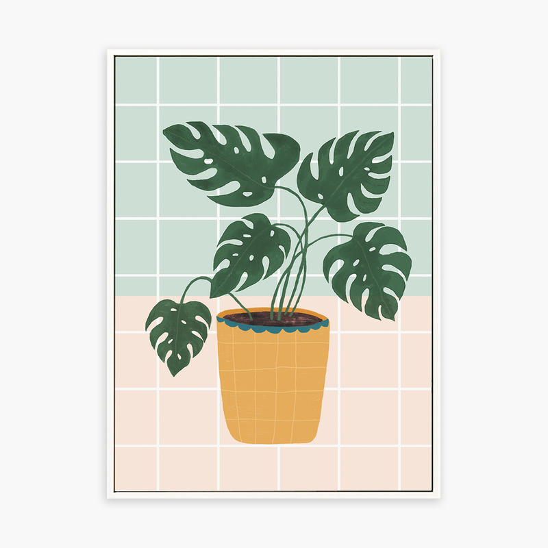 植物鲜生 Mr.fresh