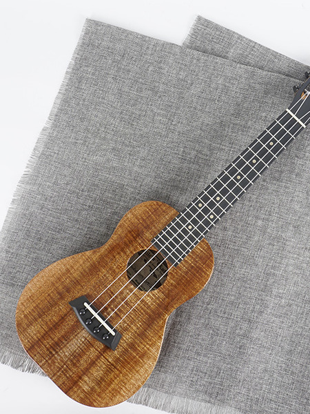 kanilea kcs-c premium