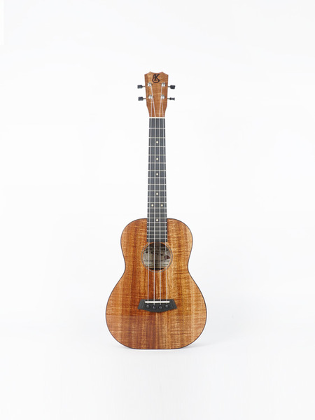 kanilea k2t premium