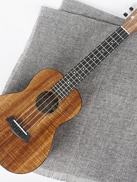 kanilea k2t premium