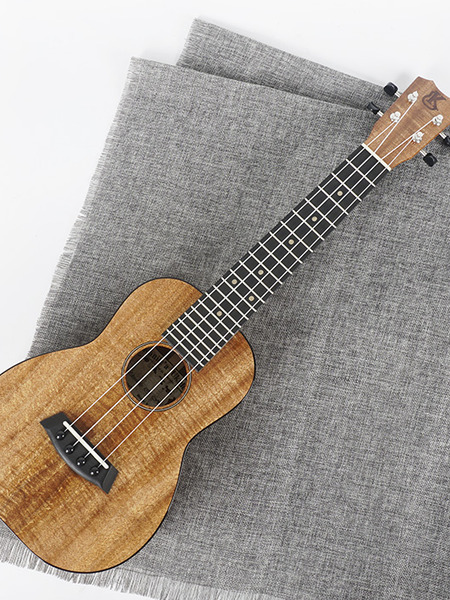 kanilea k2c premium