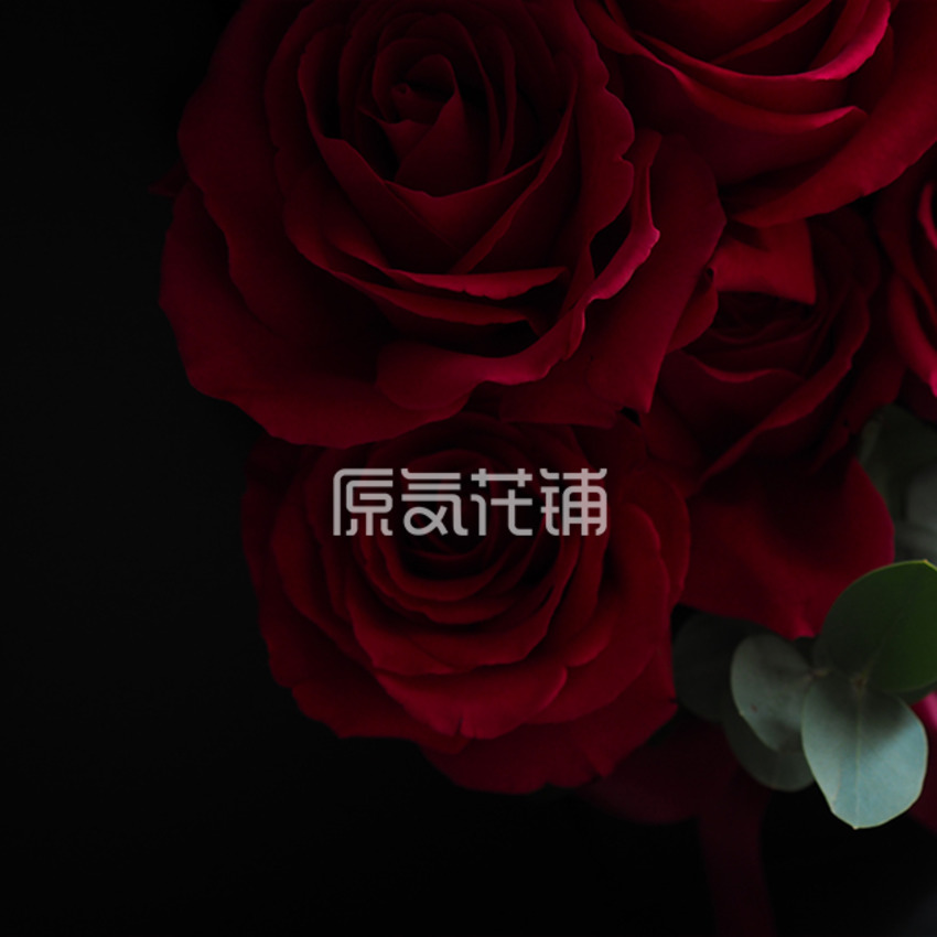 原气花铺-花店-上海-北京最爱——厄瓜多尔进口玫瑰花盒-5