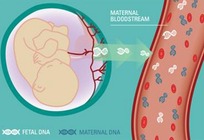 无创产前DNA(基因)检测是什么,准确率高吗?