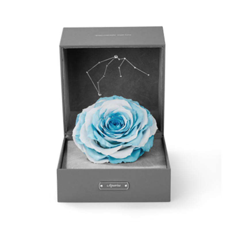 星座经典 - 金牛座单朵金牛守护色 小型方形