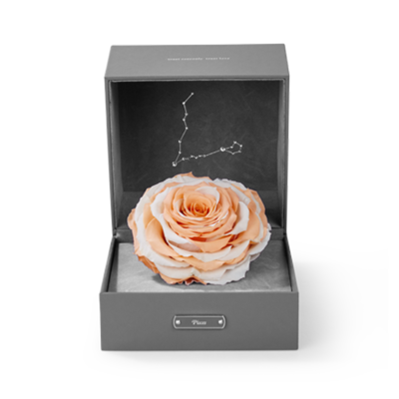 星座经典 - 巨蟹座单朵巨蟹守护色  小型方形