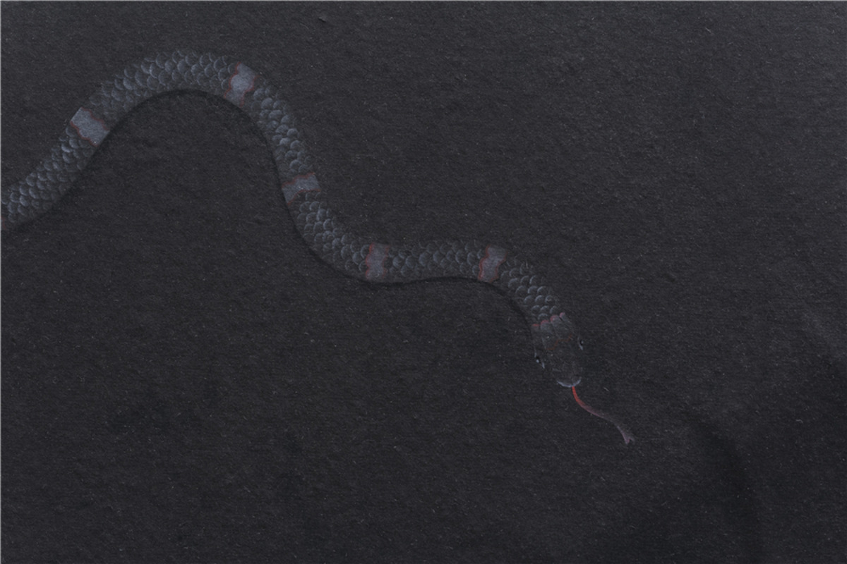 亚洲艺术中心「不分明 - 杭春晖2017」作品预览