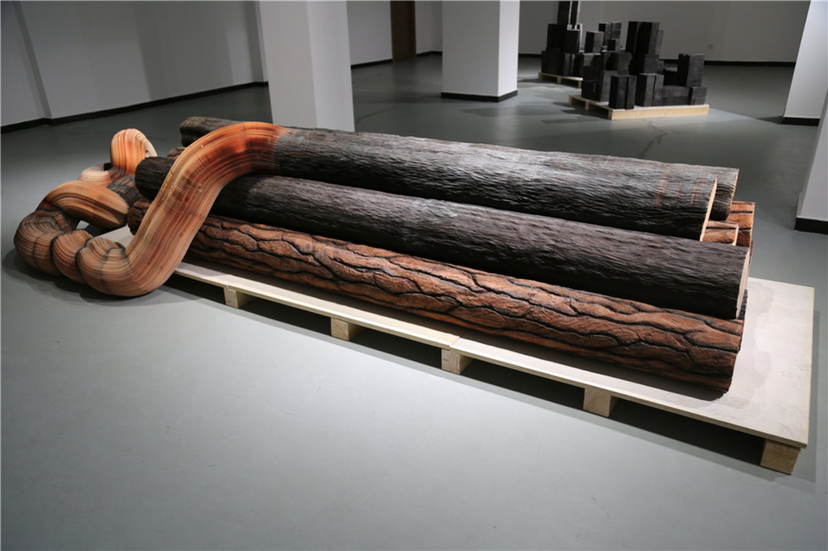 王萌专栏 | 从新美丽视觉的回归到三种奇观体验