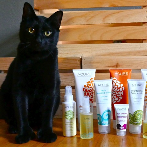 Acure Organics 摩洛哥坚果补水护发素 [8 fl oz/236 ml]-3