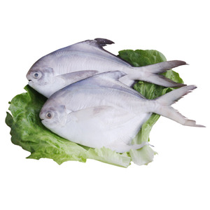 海天下 冷冻深海大鲳鱼 袋装 冷链直达