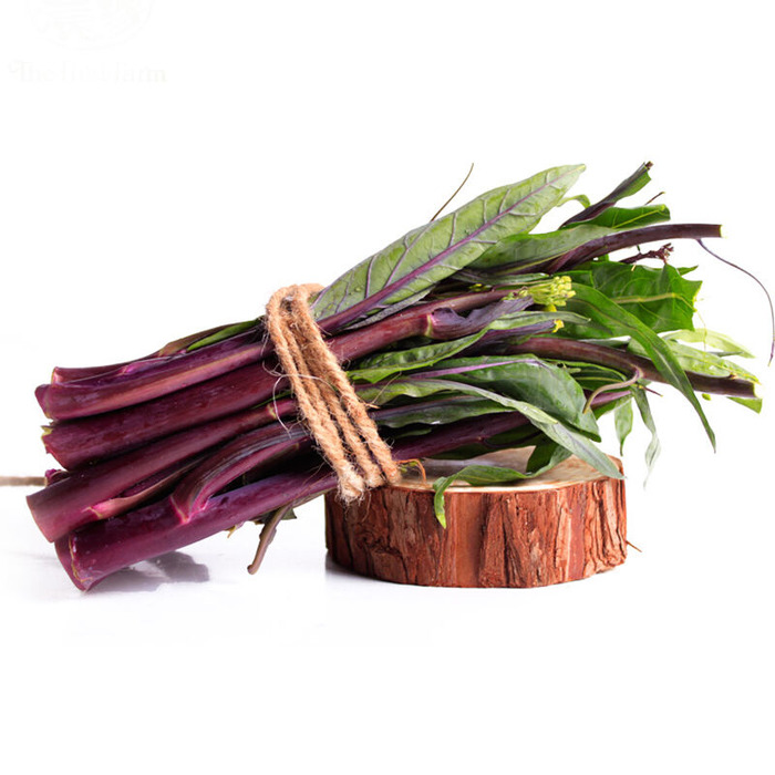 洪山紫菜苔绿色有机粪种植新鲜时令蔬菜