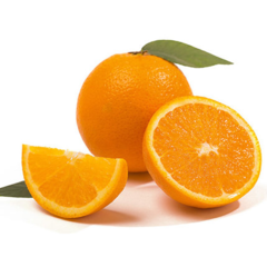 橙子新鲜赣南脐橙 江西赣州香甜橙子水果现摘拍