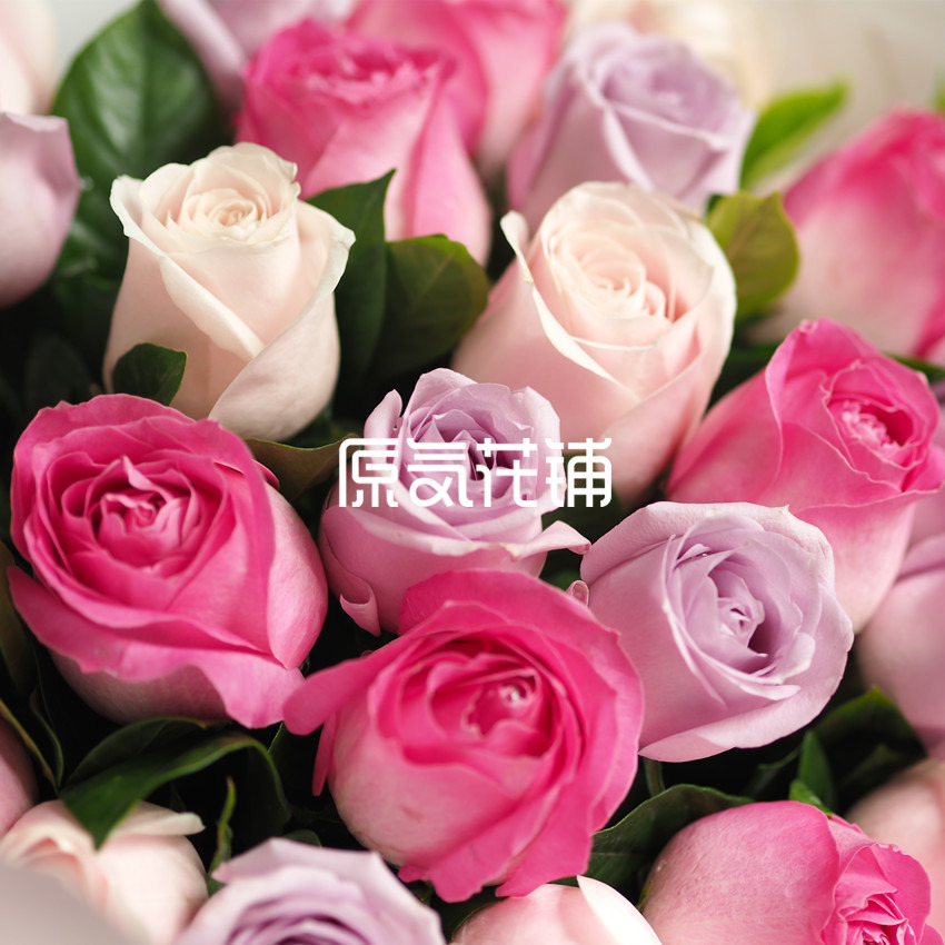 原气花铺-花店-上海-北京绮梦--三色玫瑰花束-4