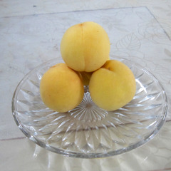 新鲜水果 纯甜黄桃脆 甜桃 黄桃 脆毛桃5斤