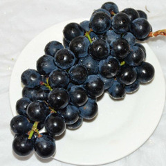 云南特产无籽夏黑葡萄新鲜