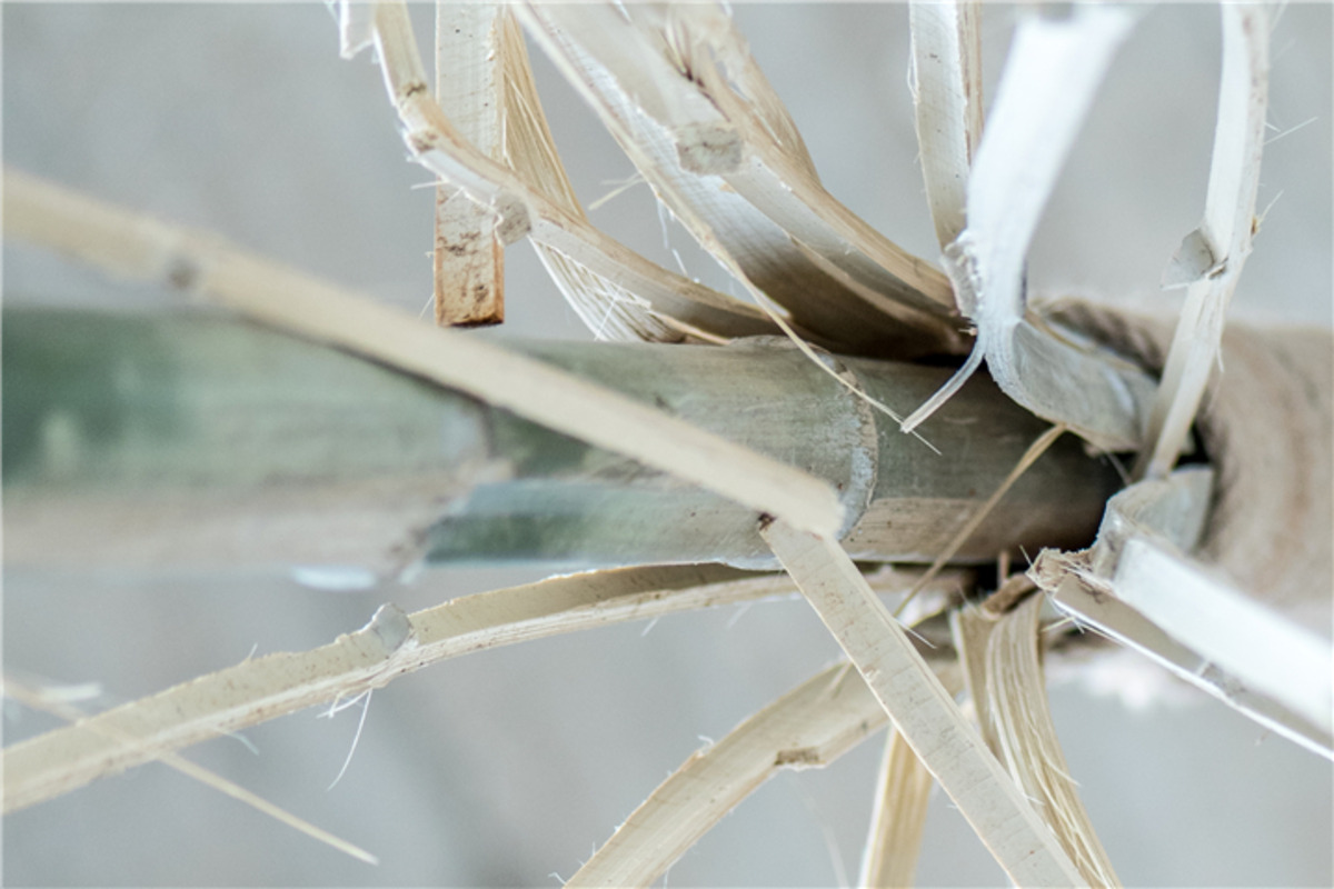 率先走进佩斯画廊举办的萧昱个展「易位」