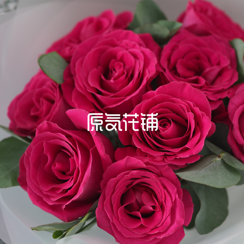 原气花铺-花店-上海-北京梦境--进口玫瑰花束-4