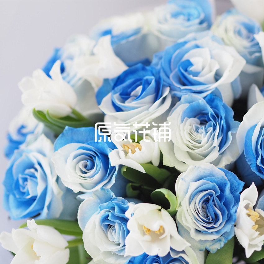 原气花铺-花店-上海-北京慕斯--进口玫瑰花束-1