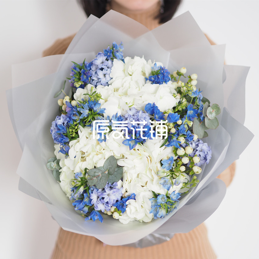 原气花铺-花店-上海-北京繁星--蓝白色系花束-2