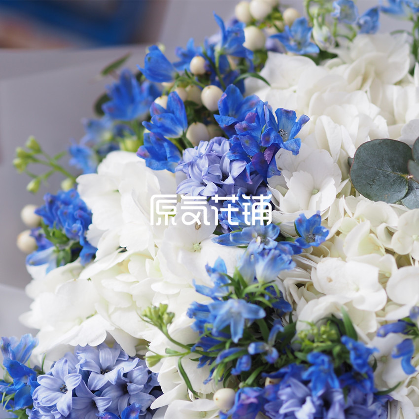 原气花铺-花店-上海-北京繁星--蓝白色系花束-1