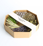 Gun&Rose-Fall in love