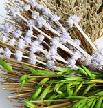 Gun&Rose-Fall in love