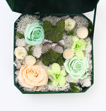 Gun&Rose-Fall in love