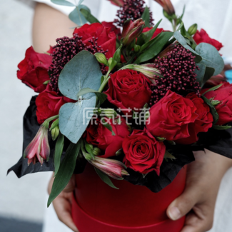 红豆--玫瑰六出抱抱桶