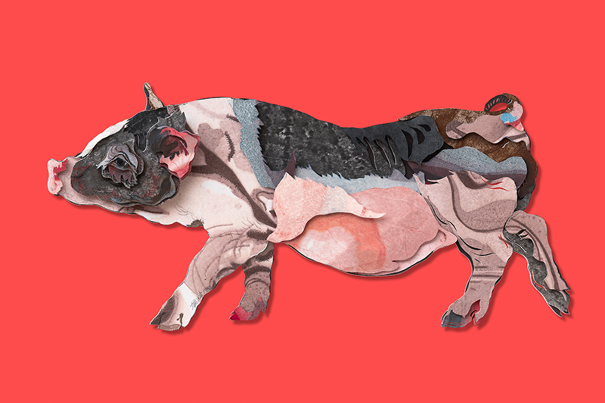 侯炜国工作室推出限量版画「金猪拱门」完成“年度规定动作”