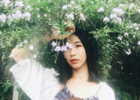 手机摄影专用柔光镜!画面多了份朦胧美感