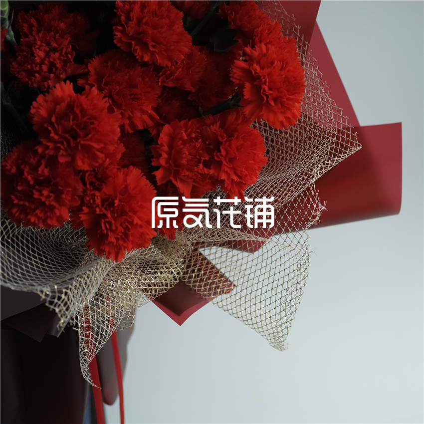 原气花铺-花店-上海-北京赞歌--红色康乃馨花束-3