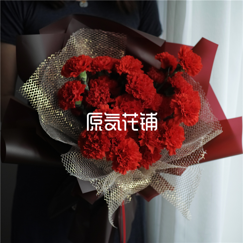 原气花铺-花店-上海-北京赞歌--红色康乃馨花束-5