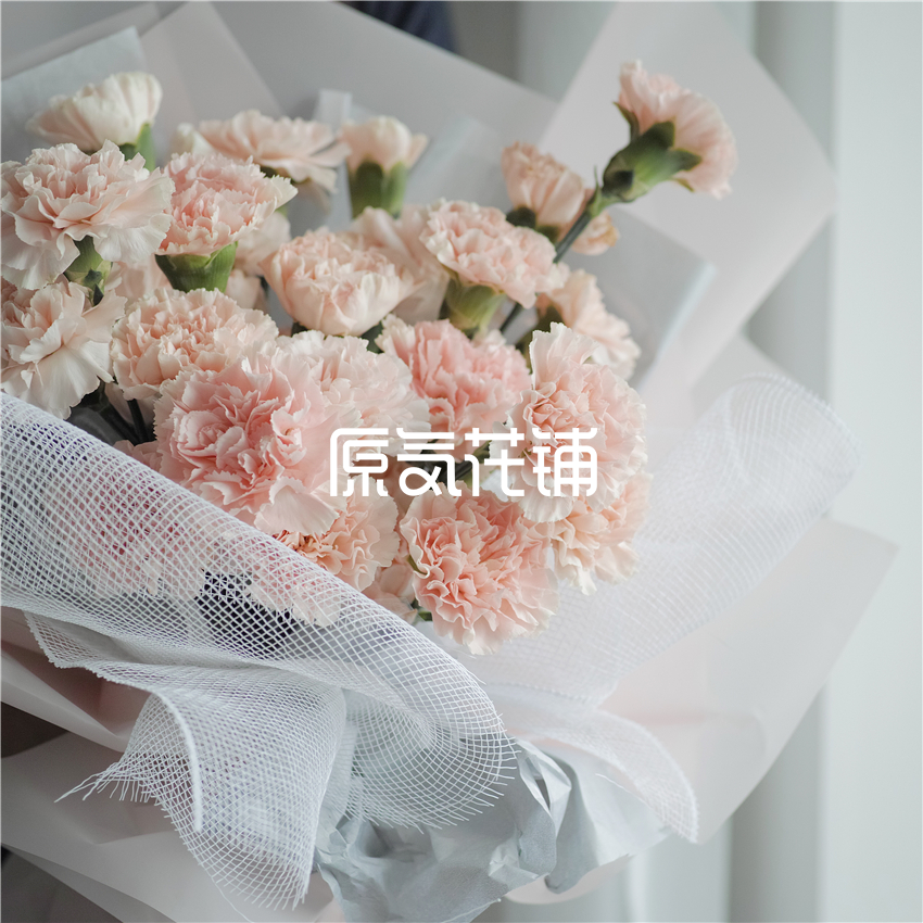 原气花铺-花店-上海-北京淡然--淡粉色康乃馨花束-2
