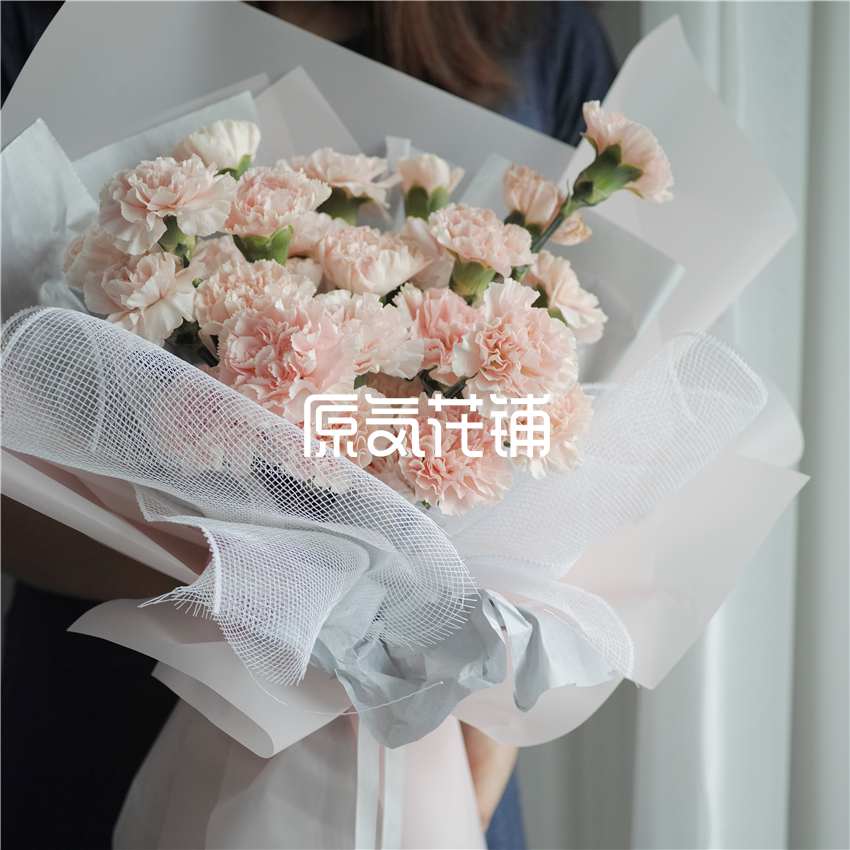 原气花铺-花店-上海-北京淡然--淡粉色康乃馨花束-4
