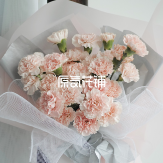淡然--淡粉色康乃馨花束