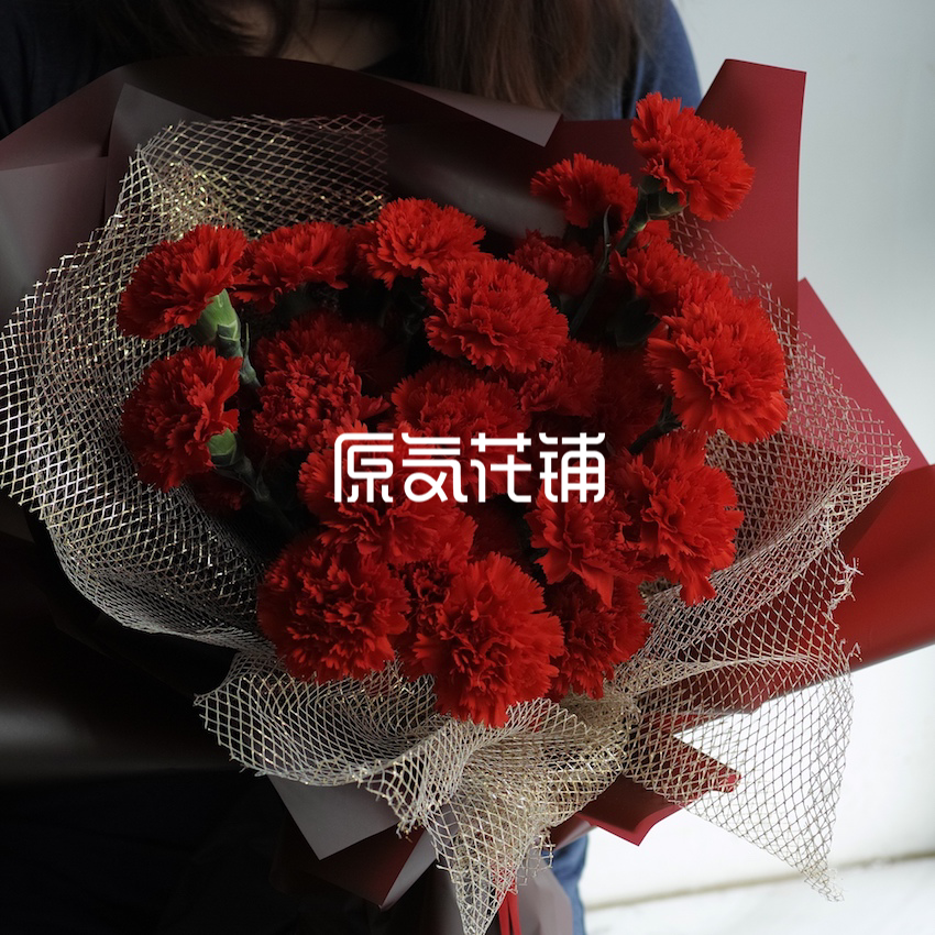原气花铺-花店-上海-北京赞歌--红色康乃馨花束-1
