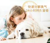 鲜知鲜觉|房子空气有多清新,就说明你有多爱你家的小狗狗