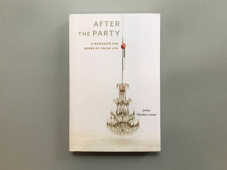 After the Party: A Manifesto for Queer of Color Life